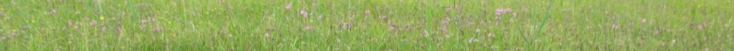 Kummersdorf-12-06-14_081_R Kummersdorf-12-06-14_081_R